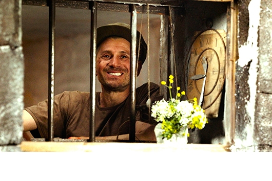 アメリカッチ コウノトリと幸せな食卓　DVD