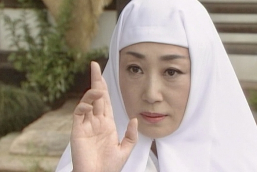 尼さん探偵シリーズ コレクターズDVD