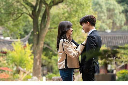 美人骨　スペシャルプライス版DVD-BOX4