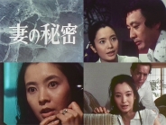 妻の秘密 コレクターズDVD
【昭和の名作ライブラリー 第175集】