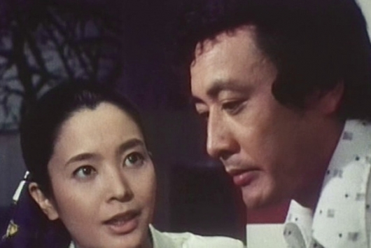 妻の秘密 コレクターズDVD
【昭和の名作ライブラリー 第175集】