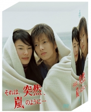 それは、突然、嵐のように・・・　DVD-BOX