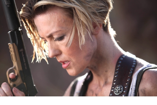 ドミニク 孤高の反逆者　DVD