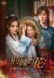 荊棘〈いばら〉の花～奪われた私～　DVD-BOX1