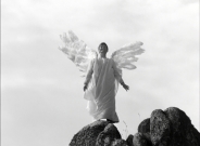 フィフィ大空をゆく　4Kレストア版　DVD