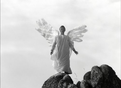 フィフィ大空をゆく 4Kレストア版 DVD