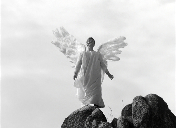 フィフィ大空をゆく　4Kレストア版　DVD