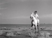 白い馬／小さなロバ、ビム　4Kレストア版  DVD