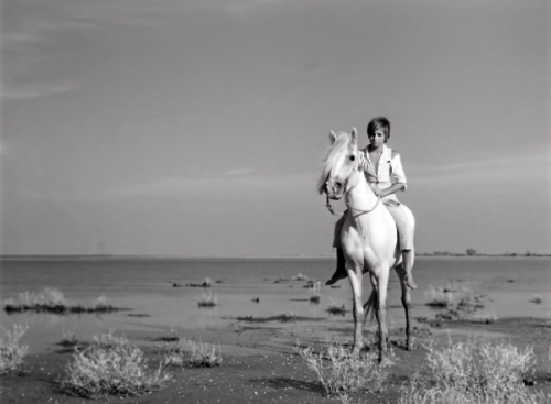 白い馬/小さなロバ、ビム 4Kレストア版 DVD